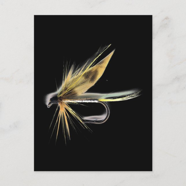 Blöt Fly (Cumming's) Vykort (Framsida)