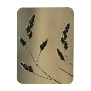 Blöt gräs magnet