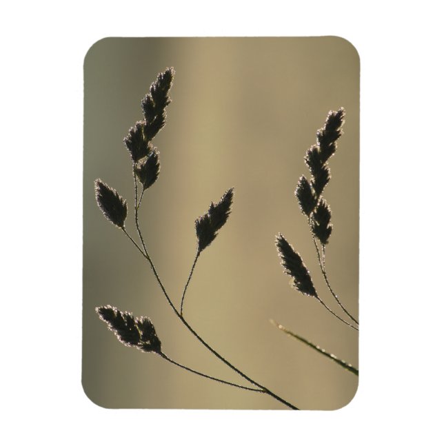 Blöt gräs magnet (Vertikal)
