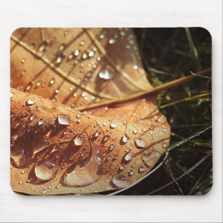 Blöt Hösten Löv - Mousepad Musmatta