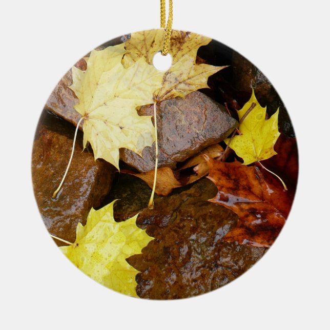 Blöt Löv och Sten hösttypsfoto Julgransprydnad Keramik (Framsidan)