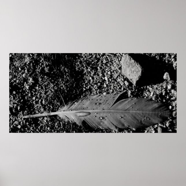 Blöt Poster (Framsidan)