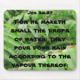 Blöt sumac-jobboffert musmatta