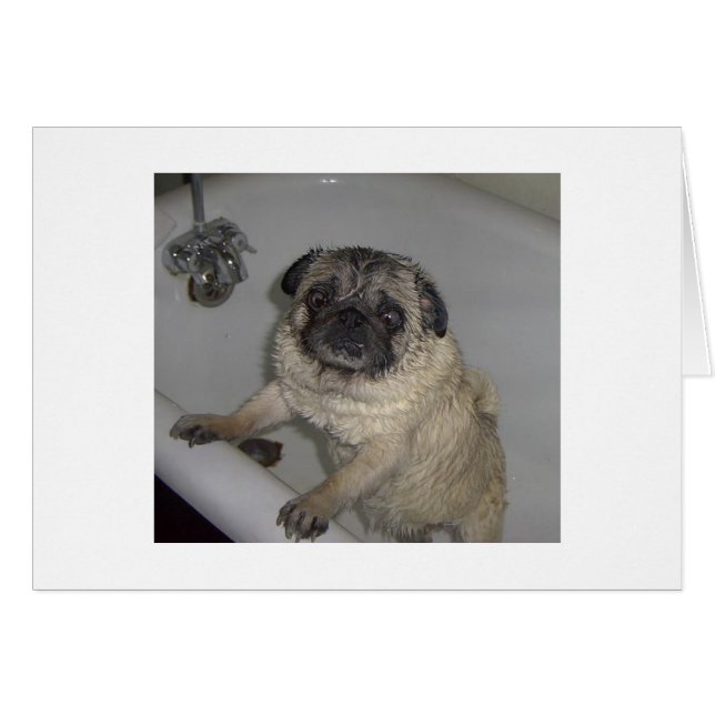 blöt, tomt kort (Framsidan Horizontal)