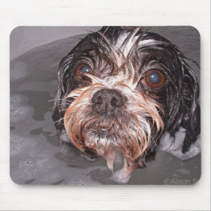 Blöt vovve Mousepad Musmatta