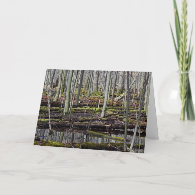 Blöt Woodlands 7 x 5-mappat gratulationskort - tom Kort (Framsida)