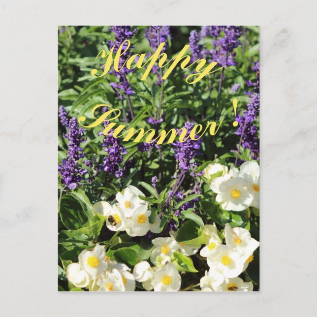 Blötande lavander och begonium vykort (Framsida)