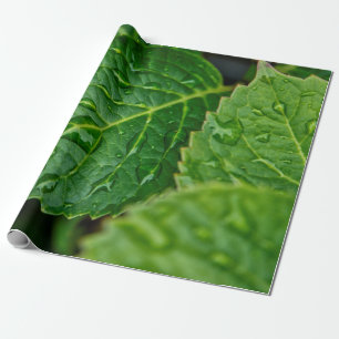 Blöten löv för regndroppsvattenfall presentpapper