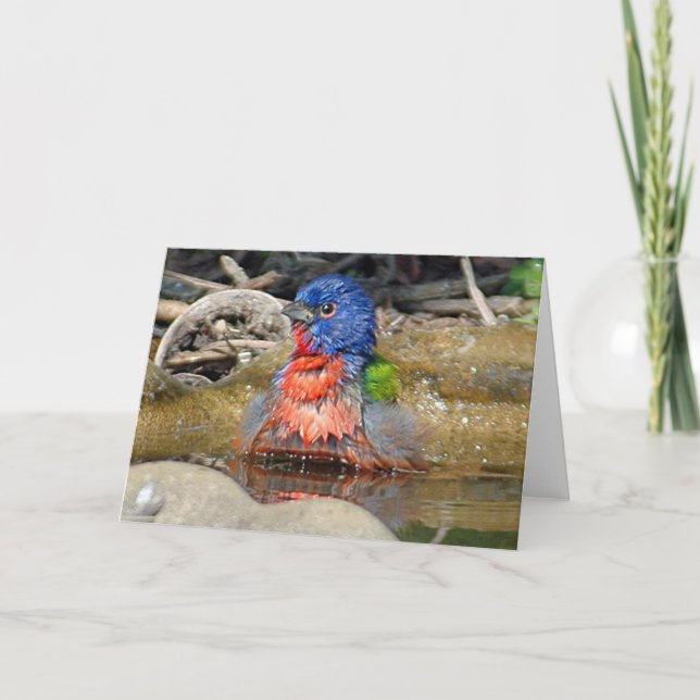 Blöten målar kortet kort (Framsida)