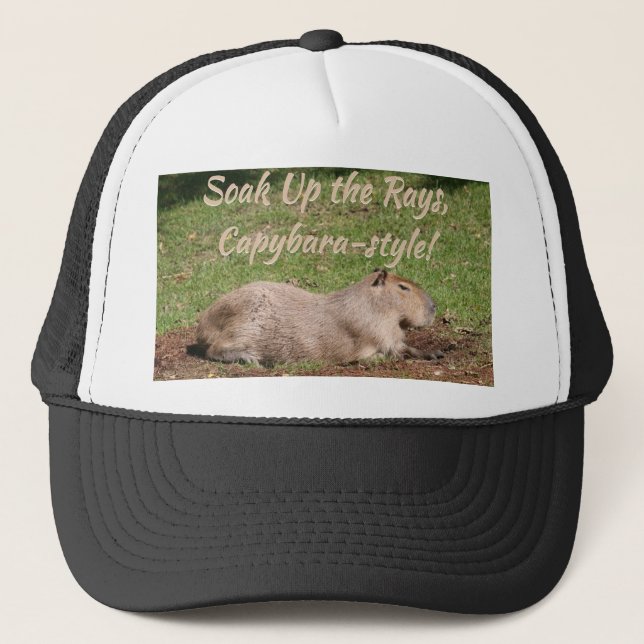 Blötläggning, Capybara-stil! Keps (Framsida)