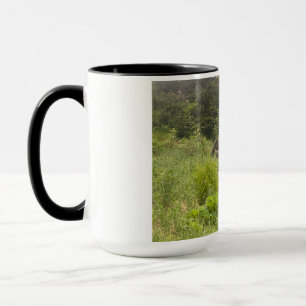 Blötläggning i naturen - Wildlife Photo Mugg