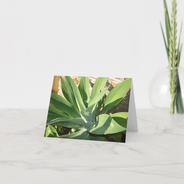 Blötning upp av solen kort (Framsida)