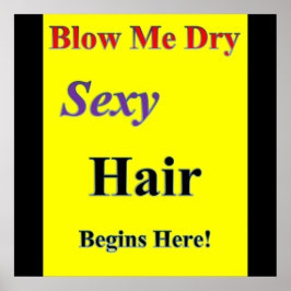 Blow me Dry Poster projektionsyta