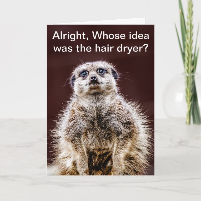 Blowdrymeerkat Kort (Framsida)