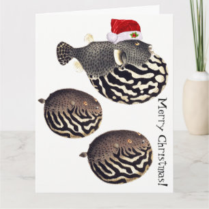 BlowfishfiskSanta god jul! Kort