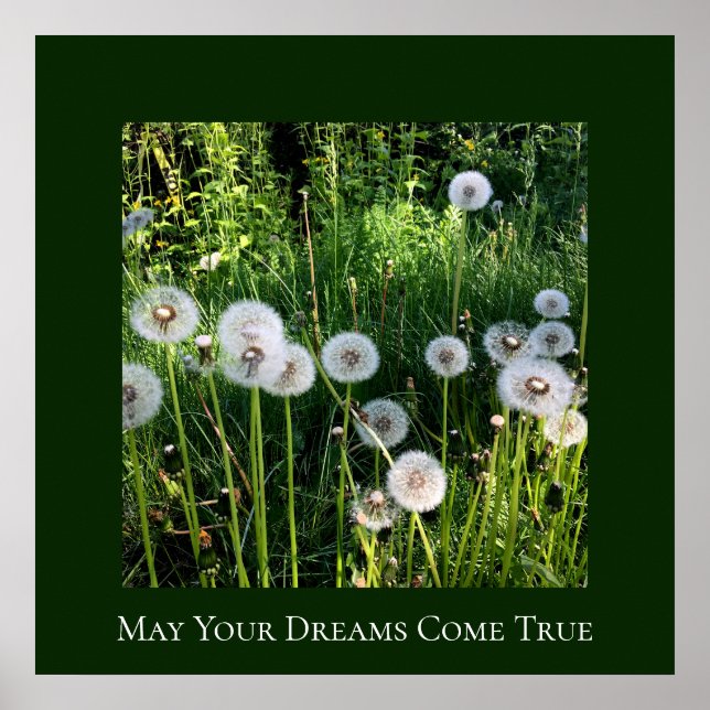 Blowing Dandelion Dreams Wish Botanical Poster (Framsidan)