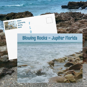 Blowing Rocks Conservancy Jupiter FL Fotografisk Vykort