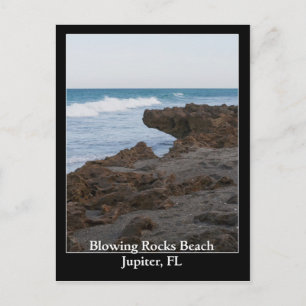Blowing Sten Beach Jupiter, FL Vykort