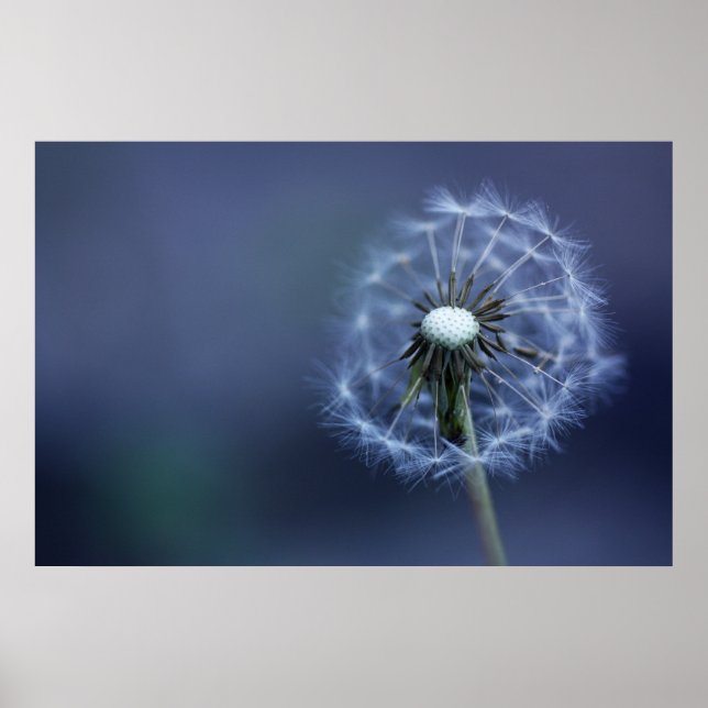 Blown Away Poster (Framsidan)