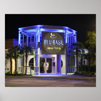 Blu Basil nattbild Poster