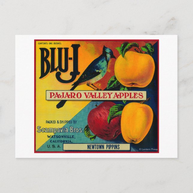 Blu-J Apple Låda LabelWatsonville, CA Vykort (Framsida)