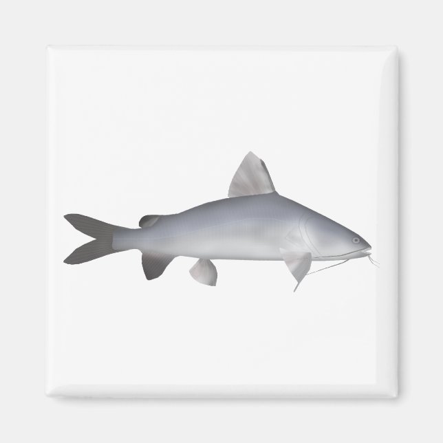 Blu Salmon Catfish Magnet (Framsidan)