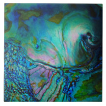 Blue Abalone Shell