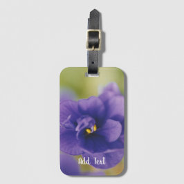 Blue African Violet Saintpaulia Bagagebricka
