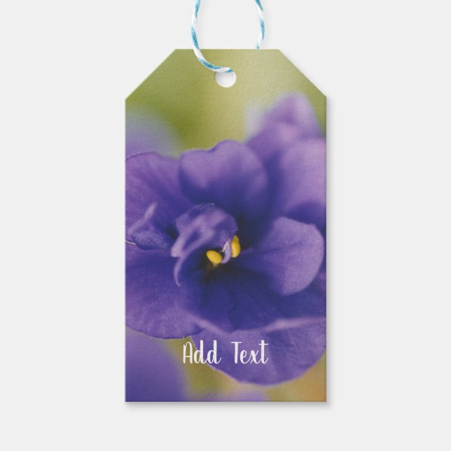 Blue African Violet Saintpaulia Presentetikett (Framsidan)
