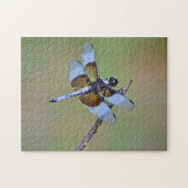 Blue and Brown Dragonfly Insekt Nature Puzzle Pussel (Horisontell)