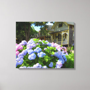 Blue and Rosa Hydrangeas - Martha's Vineyard Canvastryck