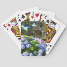 Blue and Rosa Hydrangeas - Martha's Vineyard