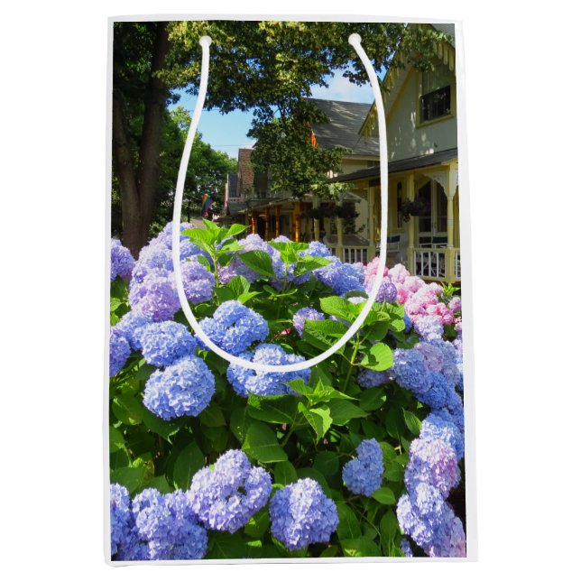 Blue and Rosa Hydrangeas - Martha's Vineyard Mediu (Framsidan)