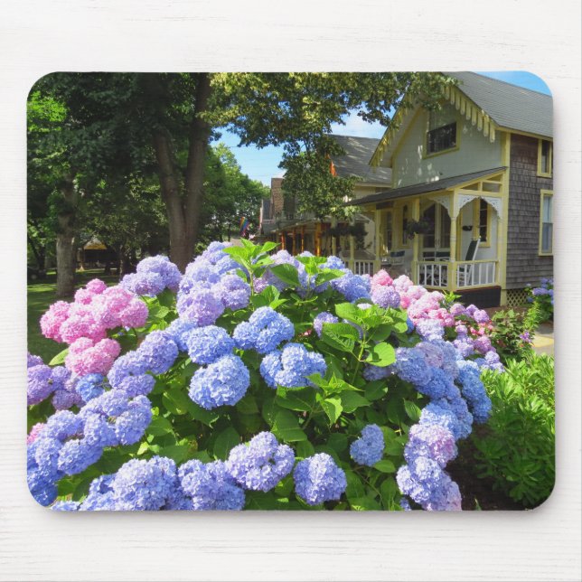 Blue and Rosa Hydrangeas - Martha's Vineyard Musmatta (Framsidan)