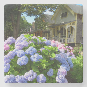 Blue and Rosa Hydrangeas - Martha's Vineyard Stenunderlägg