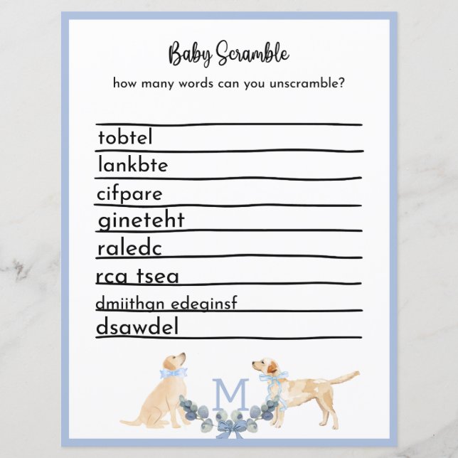 Blue and White Gingham Baby Shower Game (Framsida)