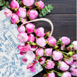 Blue and White Toile de Jouy Möhippa