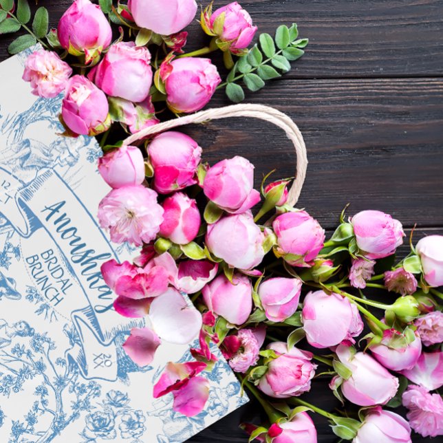 Blue and White Toile de Jouy Möhippa (Skapare uppladdad)