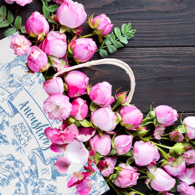 Blue and White Toile de Jouy Möhippa (Skapare uppladdad)