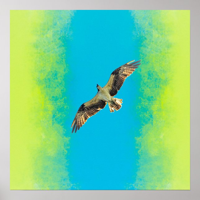 Blue and yellow poster (Framsidan)