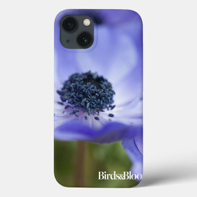 Blue Anemone (Baksida)