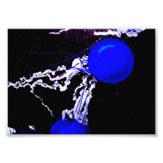 "Blue Änglar" Fototryck