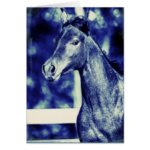 Blue Arabian Digital Art Hälsningskort