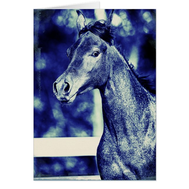 Blue Arabian Digital Art Hälsningskort (Framsidan)