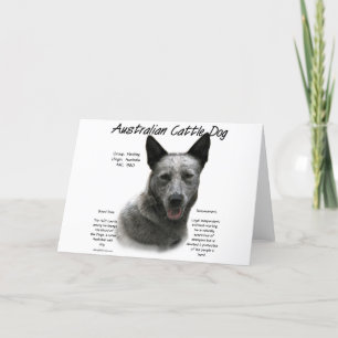 Blue Australian Cattle Hund History; Blue ACD Helgkort