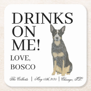 Blue Australian Cattledog Heeler Hund Bröllop Underlägg Papper Kvadrat