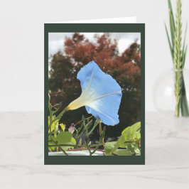 Blue Autumn Morning Glory Blank Kort