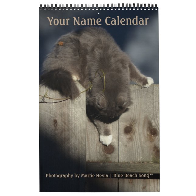 Blue Beach Sång™-foto Kalender (Omslag)