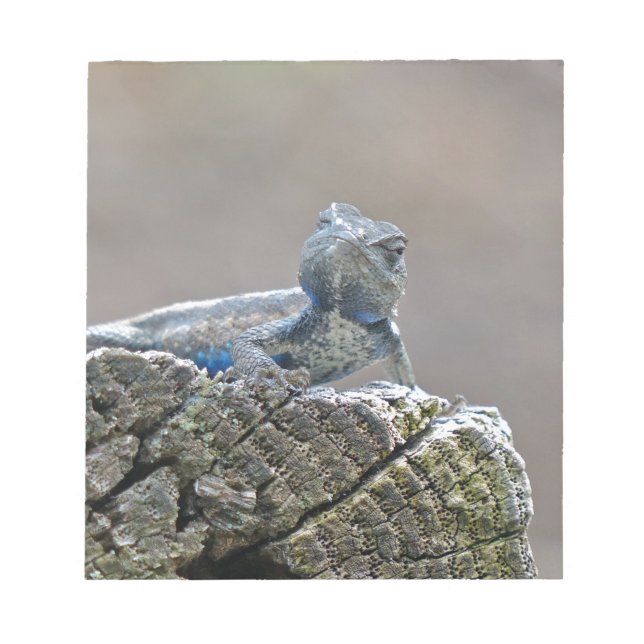 Blue Belly Alligator Lizard Anteckningsblock (Framsida)