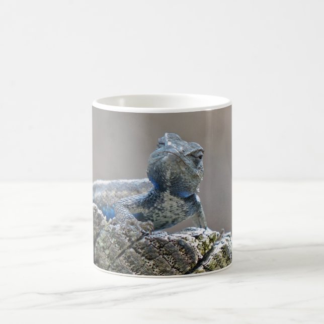 Blue Belly Alligator Lizard Coffee Mugg (Center)